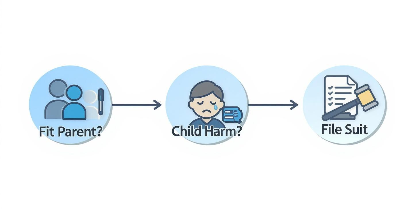 Infographic about grandparents rights texas