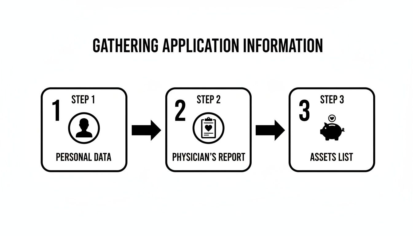A three-step process for gathering application information: Personal Data, Physician's Report, and Assets List.