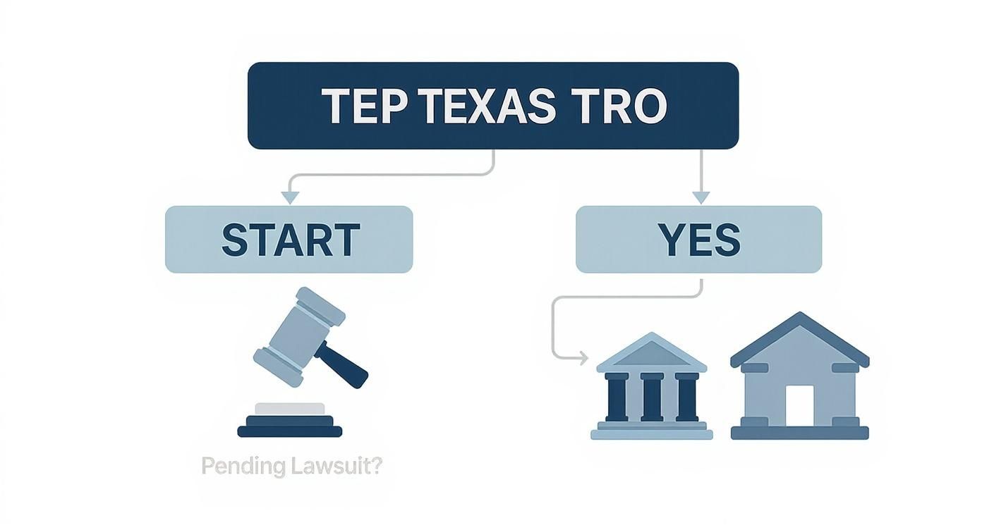 Flowchart showing TEP Texas TRO process with decision paths for pending lawsuits and court buildings