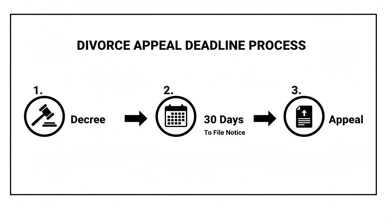 A flowchart illustrating the three-step divorce appeal deadline process: decree, 30 days to file notice, and appeal.