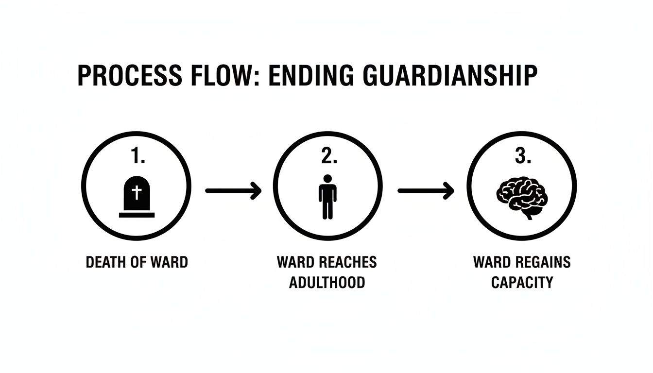 A flowchart illustrates three ways guardianship ends: death of ward, ward reaches adulthood, or ward regains capacity.