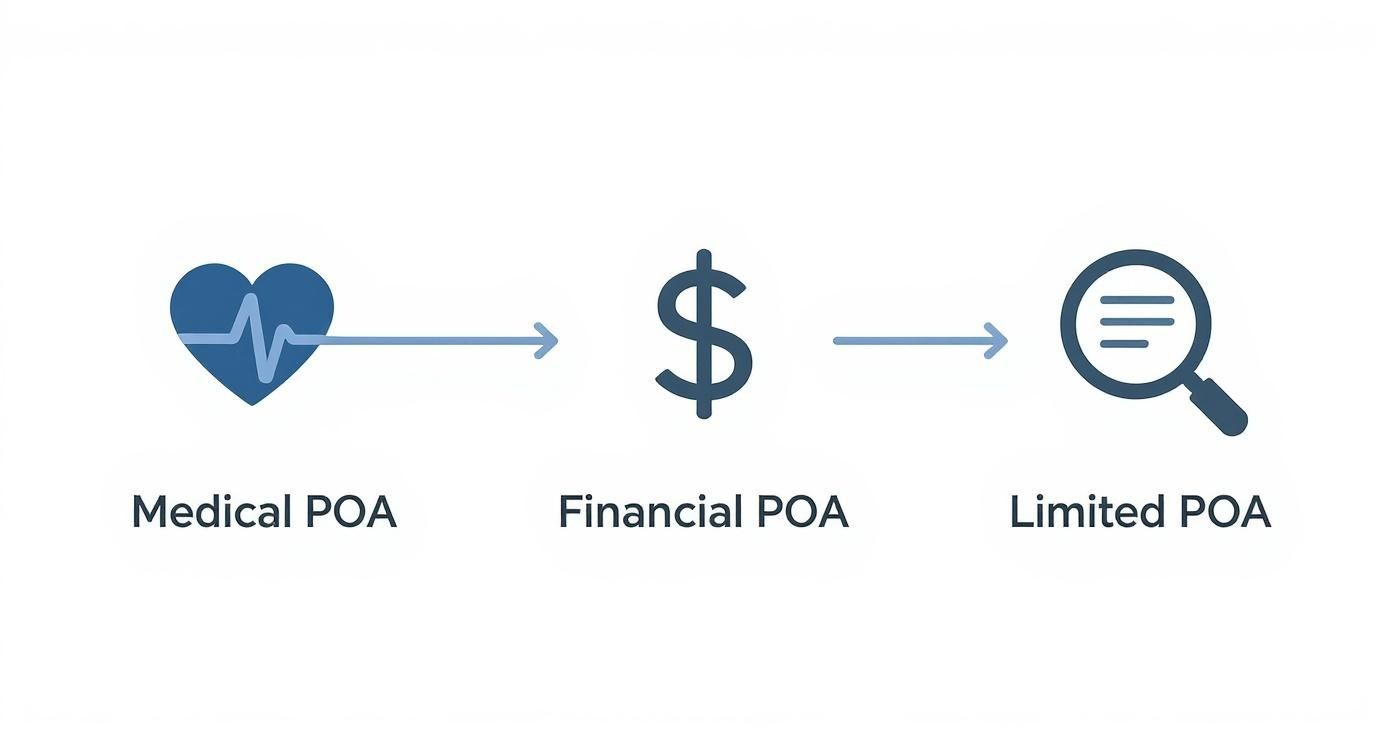 Medical, Financial, and Limited Power of Attorney (POA) icons illustrating types of POA documents relevant for estate planning in Texas.