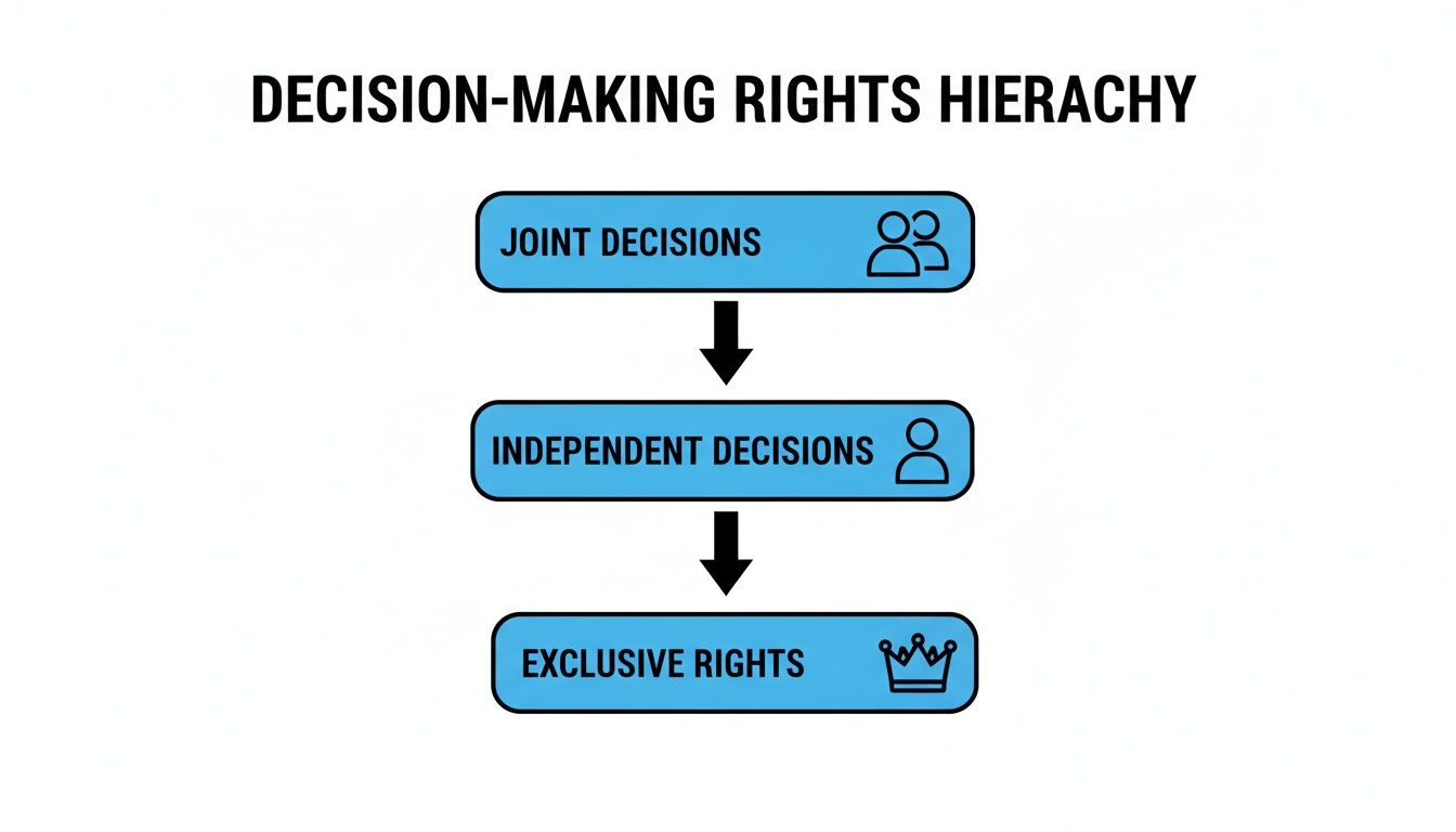 A clear hierarchy chart illustrating decision-making rights from joint to independent to exclusive.