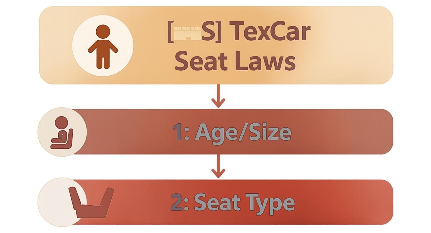 Infographic about texas regulations on car seats