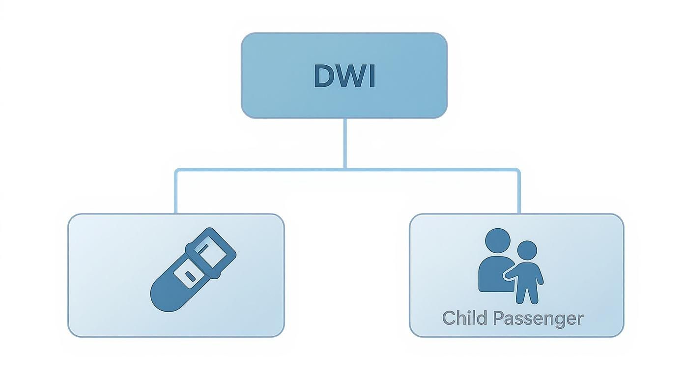 DWI infographic illustrating factors increasing penalties, including seatbelt violations and presence of a child passenger.