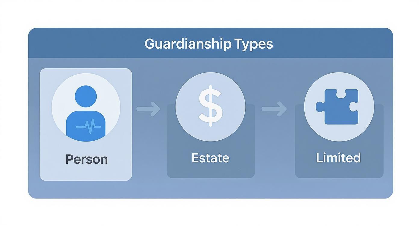 Infographic about legal guardianship in texas