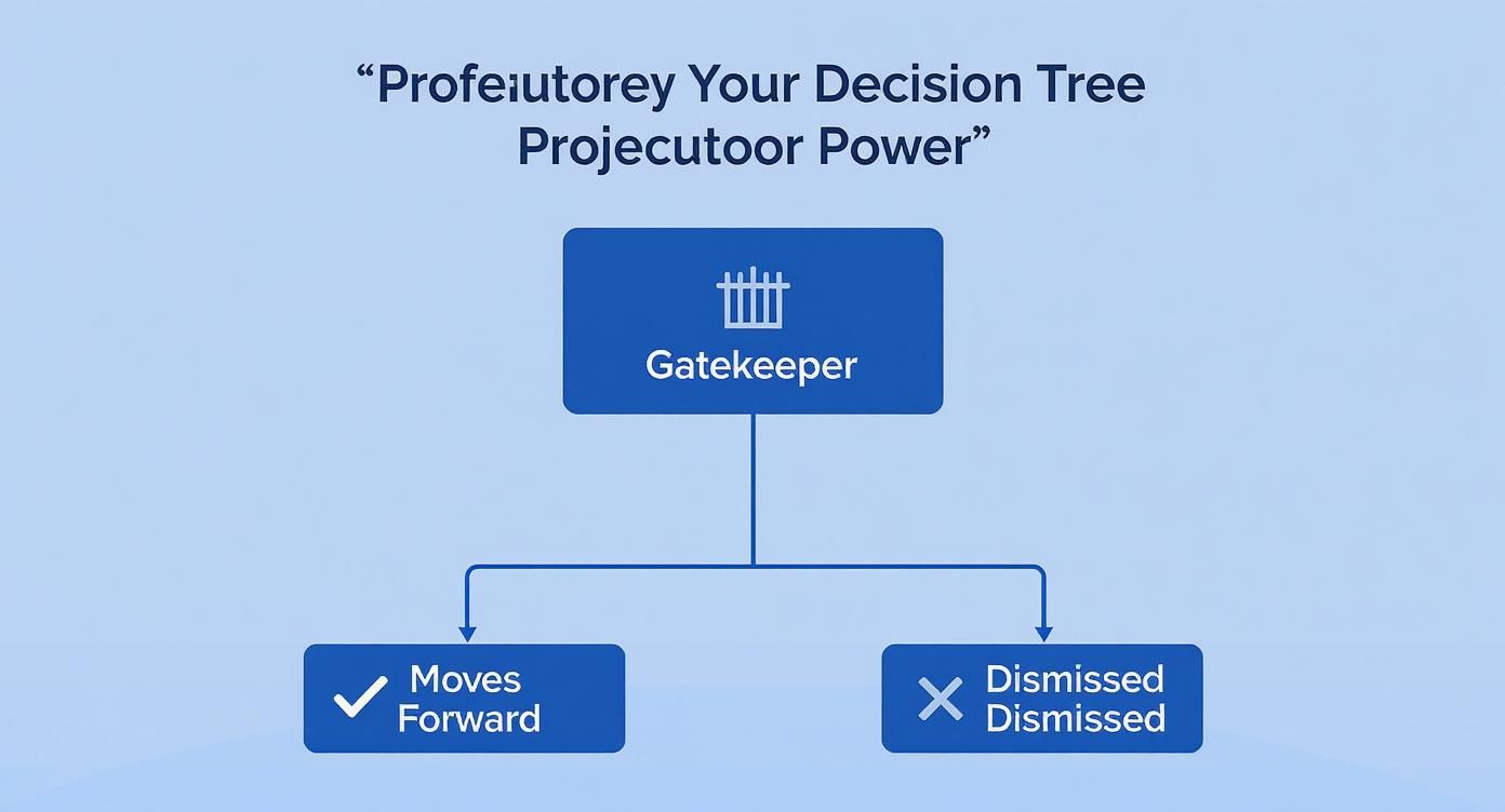 Infographic showing a decision tree for how a prosecutor's discretion works, starting with the prosecutor as a gatekeeper and branching to whether a case moves forward or is dismissed.