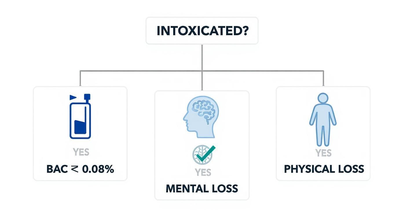 Infographic illustrating the three definitions of intoxication under Texas law: alcohol consumption, mental loss, and physical loss, relevant to DWI legal proceedings.