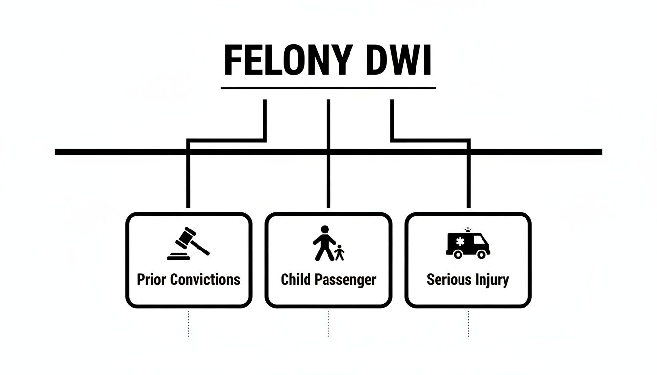 A diagram illustrates conditions for a Felony DWI, including prior convictions, child passenger, or serious injury.