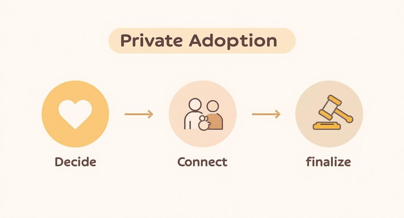 Diagram illustrating the private adoption process in Texas, featuring three key phases: Decide (heart icon), Connect (two figures with a child), and Finalize (gavel icon), emphasizing the personal journey of adoption.