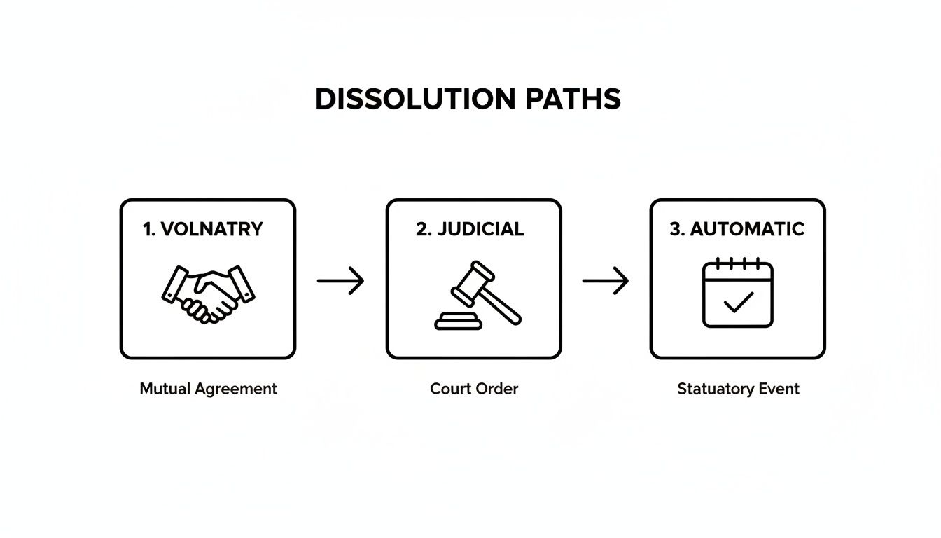 Dissolution paths diagram illustrating three methods: 1. Voluntary (Mutual Agreement), 2. Judicial (Court Order), 3. Automatic (Statutory Event), relevant to partnership dissolution processes.