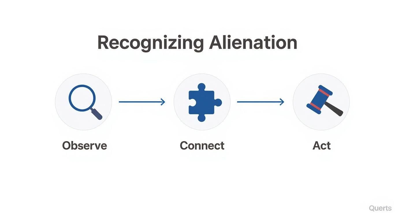 A three-step process diagram: Observe with a magnifying glass, Connect with a puzzle piece, and Act with a gavel, for recognizing alienation.