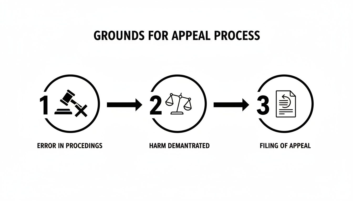 Flowchart illustrating the three grounds for appeal process: error, harm demonstrated, and filing.