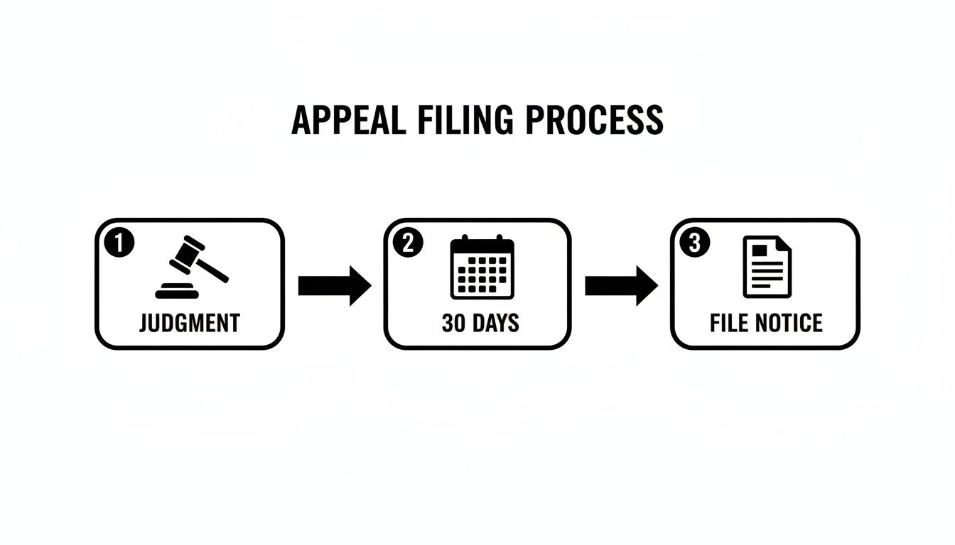Appeal filing process infographic illustrating three steps: 1. Judgment with gavel icon, 2. 30 days with calendar icon, 3. File notice with document icon, relevant to family law appeals in Texas.