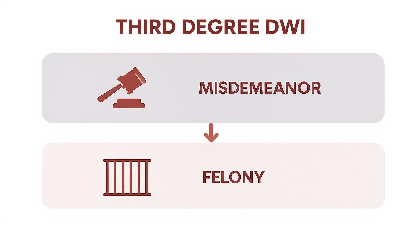 Infographic illustrating Third Degree DWI as a misdemeanor, potentially leading to a felony classification and prison.