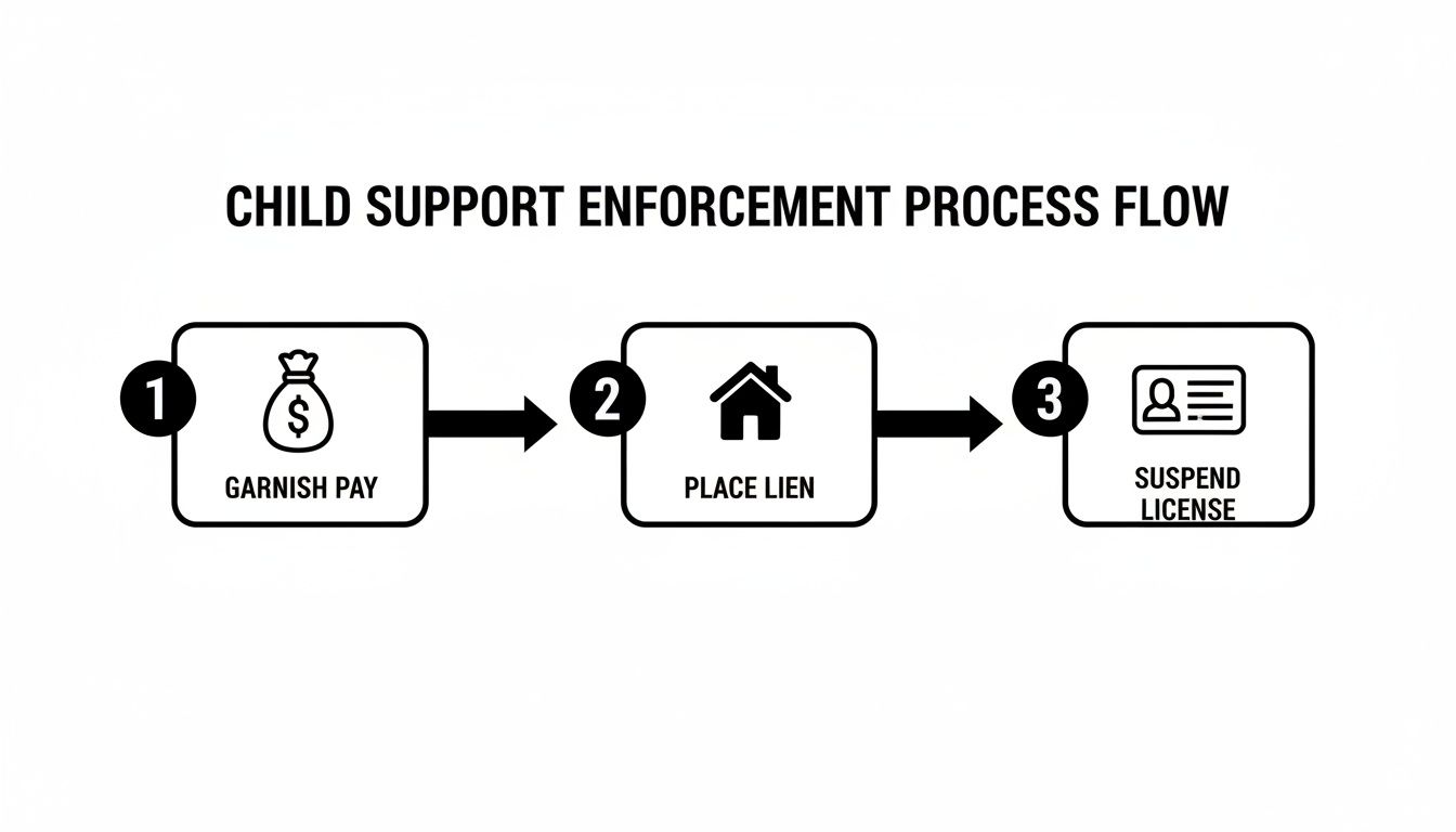 Child support enforcement process flow diagram, showing steps: garnish pay, place lien, suspend license.