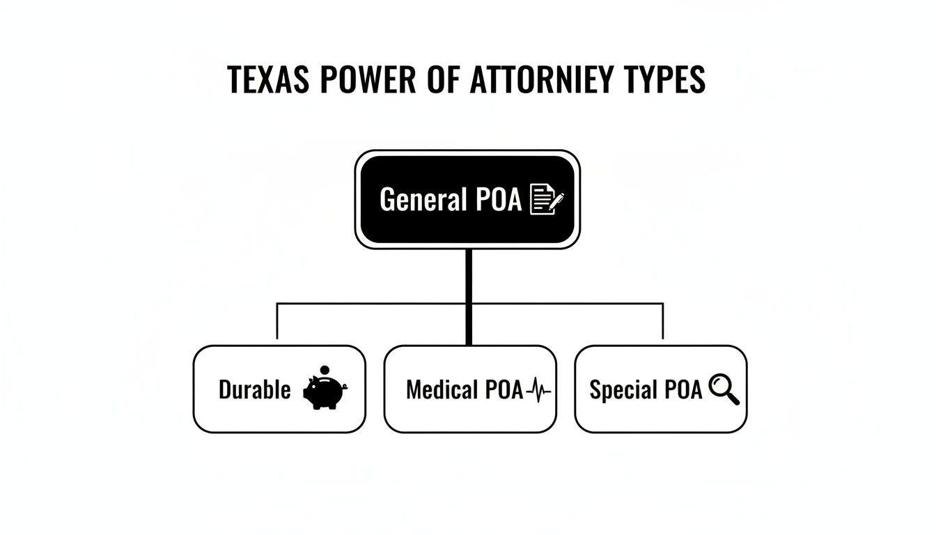A diagram illustrating Texas Power of Attorney types: General POA, Durable, Medical POA, and Special POA.
