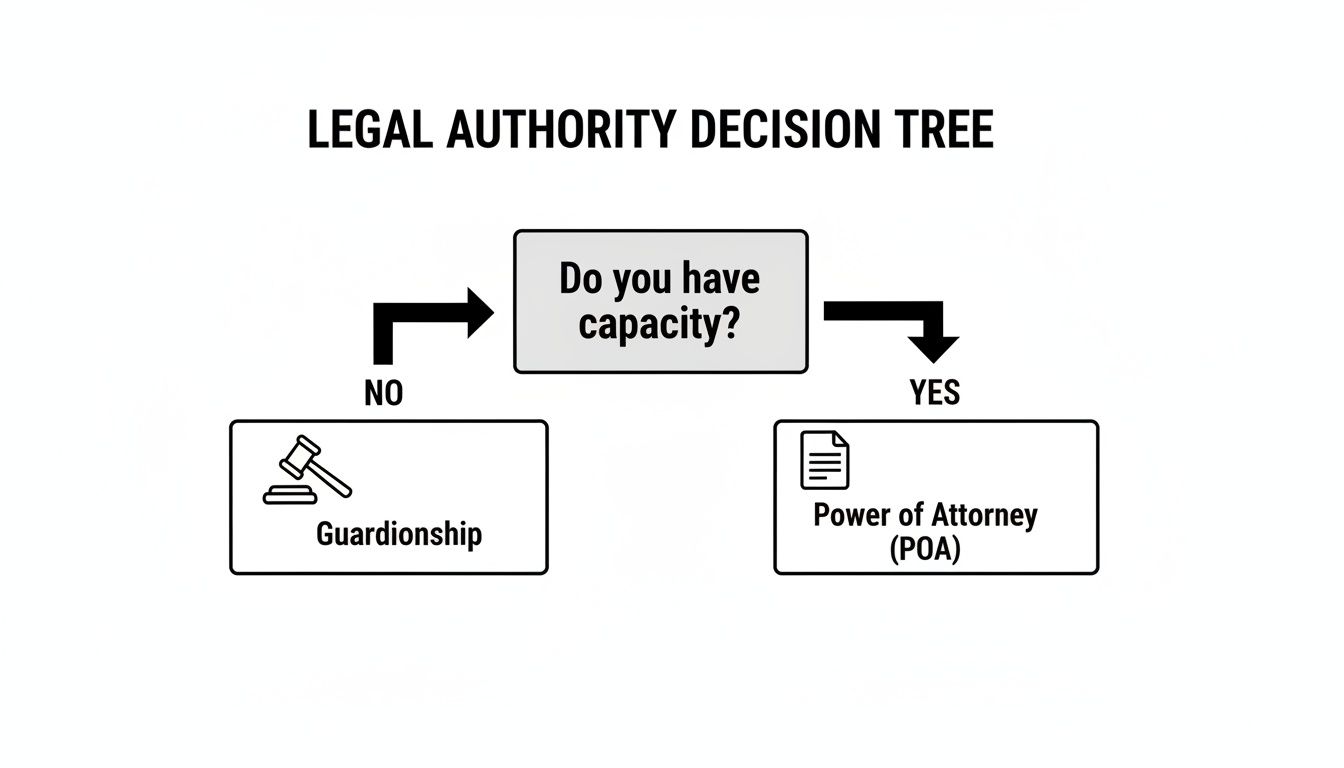 A legal authority decision tree illustrating Guardianship for no capacity and Power of Attorney for capacity.