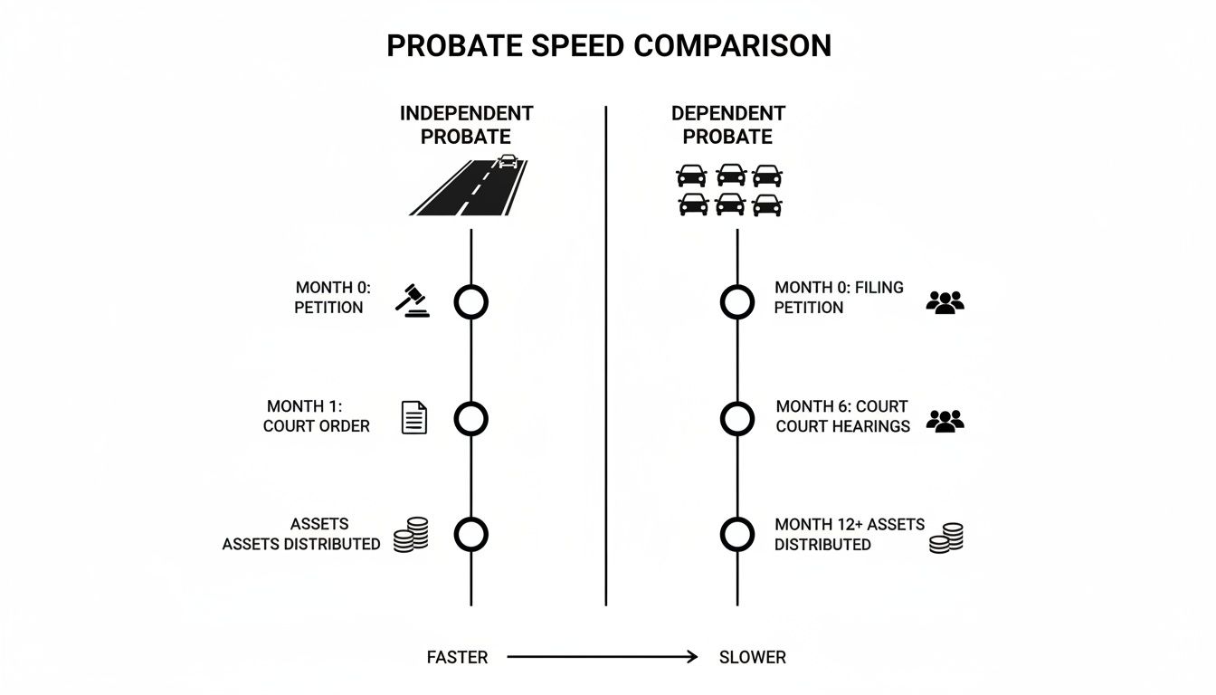 Probate speed comparison infographic illustrating independent probate process as faster with a straight road and dependent probate as slower with cars and court hearings, detailing timelines for petition, court order, and asset distribution.