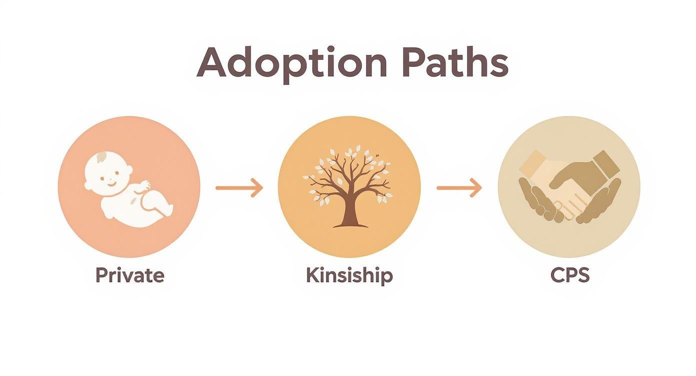 Infographic about adoption law in texas