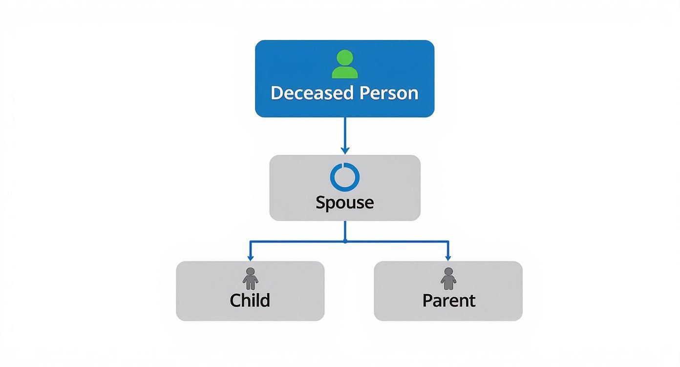 Flowchart illustrating a deceased person's relationships with spouse, child, and parent for legal context.
