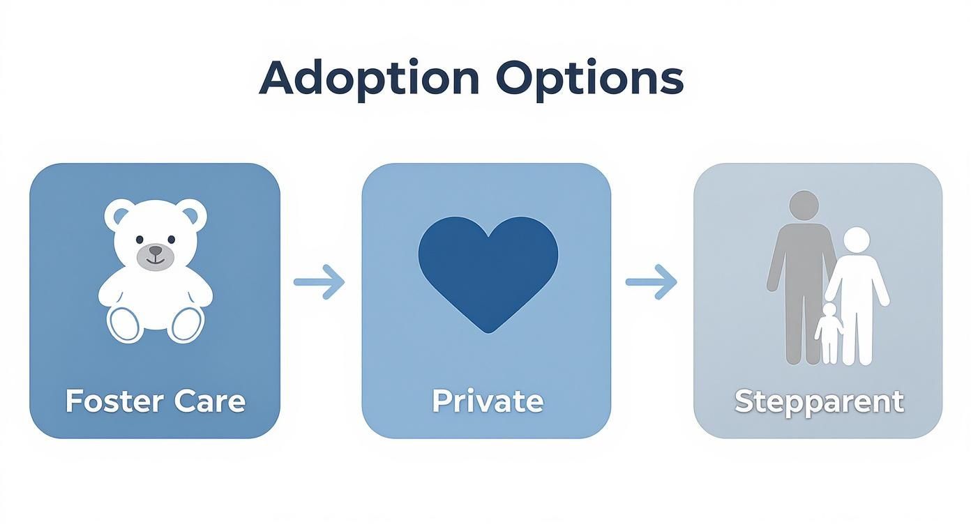 Infographic about how do you adopt
