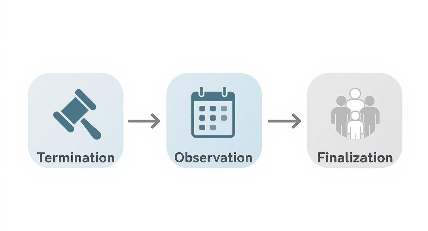 Three-stage adoption process showing termination, observation period, and finalization with icons representing legal steps