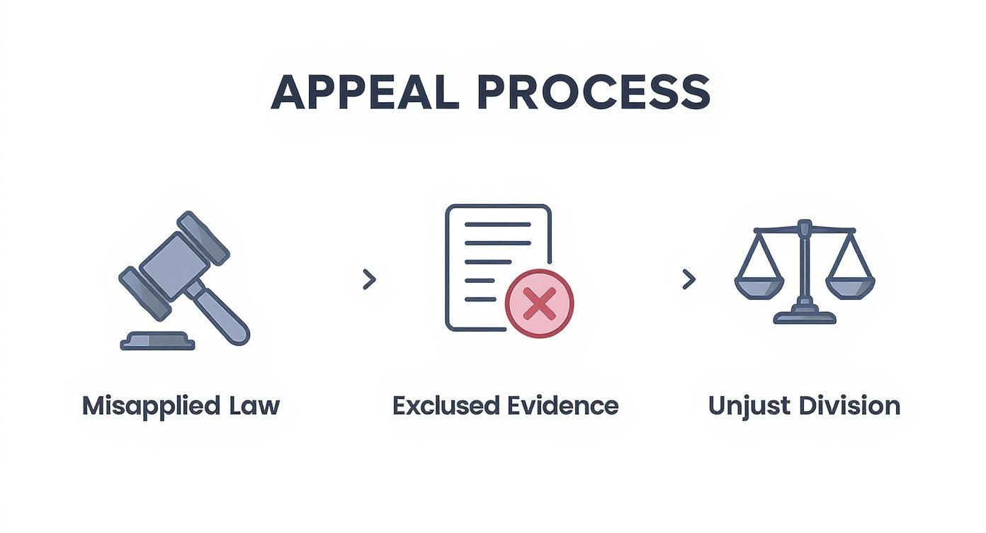 An infographic illustrating the appeal process with icons for misapplied law, excluded evidence, and unjust division.