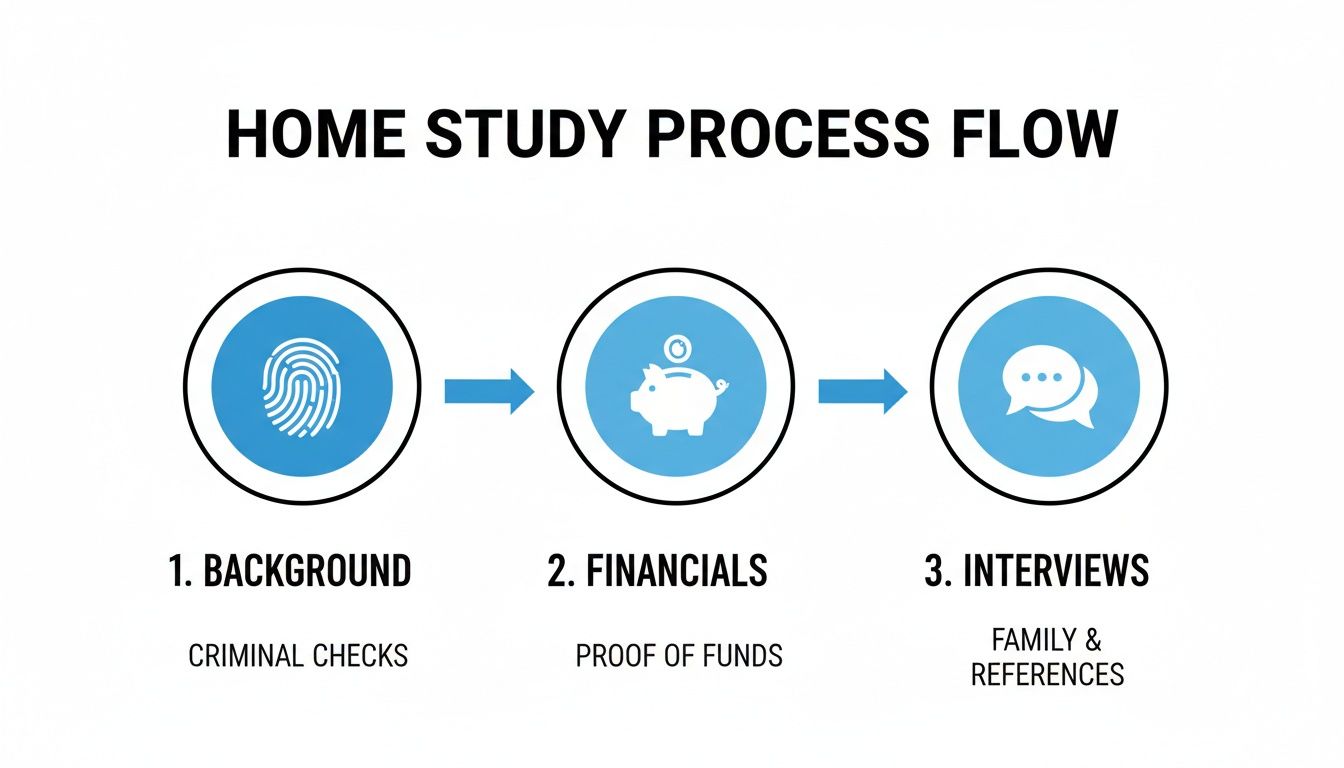 Flowchart illustrating the home study process with steps for background, financials, and interviews.