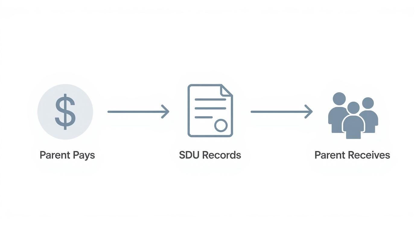 Infographic showing the three-step process of a Texas child support payment: Parent Pays, SDU Records, and Parent Receives.