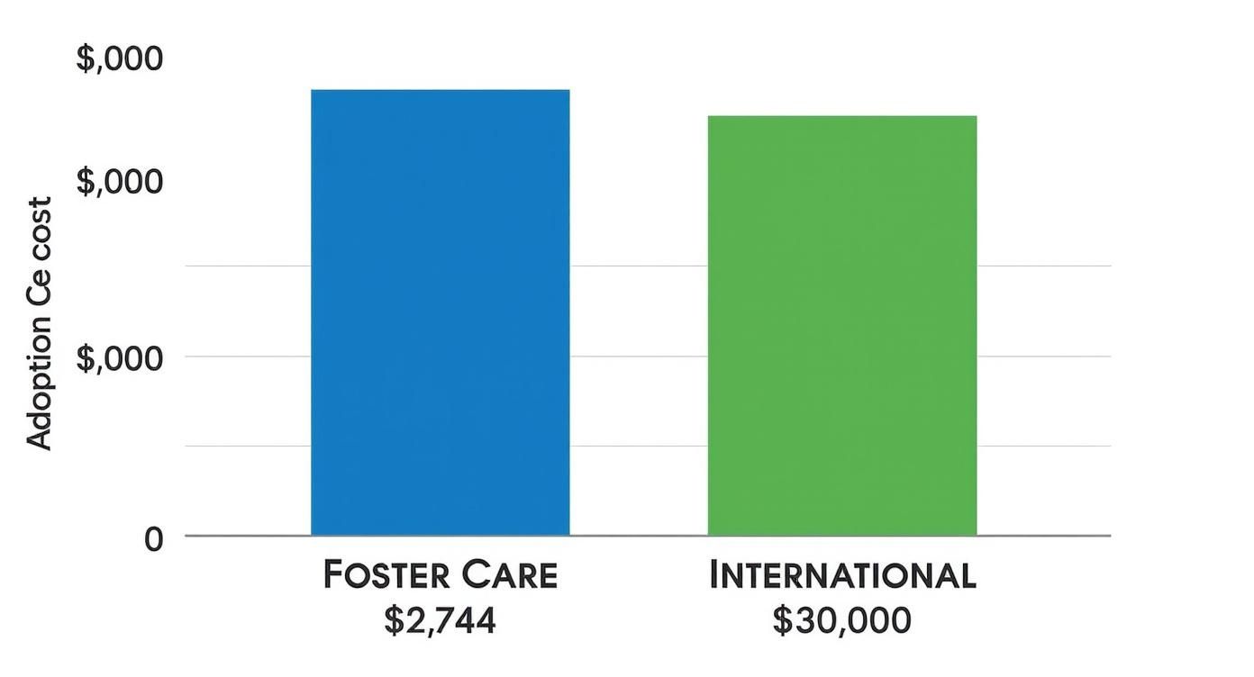 Bar chart comparing foster care adoption costs at $2,744 versus international adoption costs at $30,000
