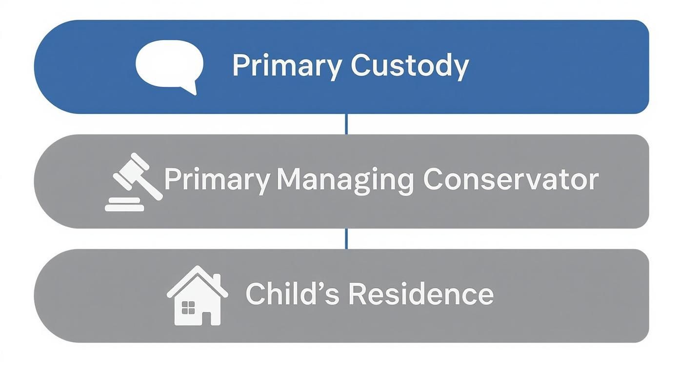 Infographic about what does primary custody mean