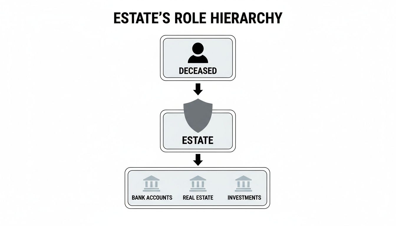 A diagram illustrates an estate's role hierarchy, showing deceased linked to estate, then to bank accounts, real estate, and investments.