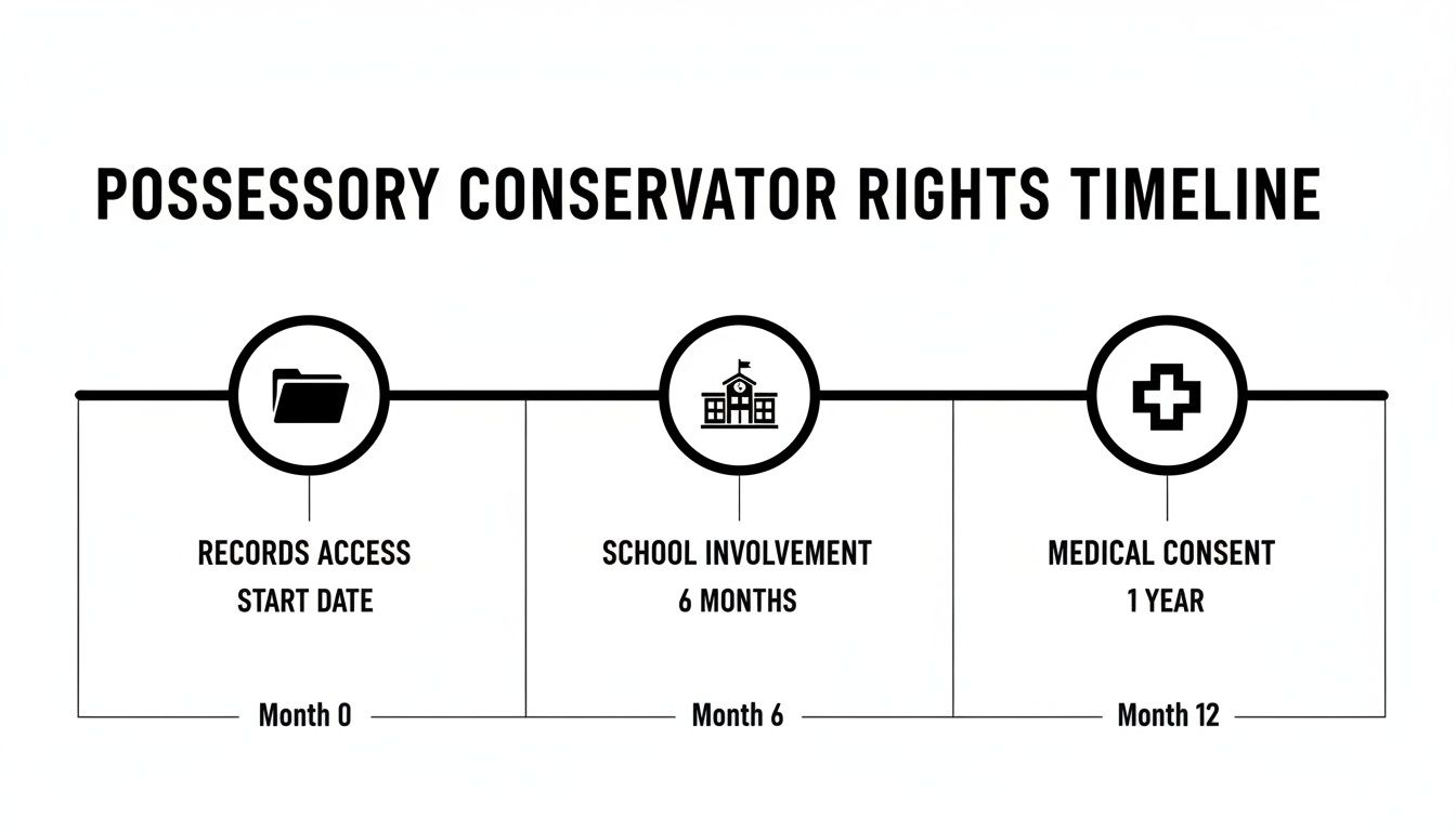 A timeline illustrating possessory conservator rights over 12 months for records access, school involvement, and medical consent.