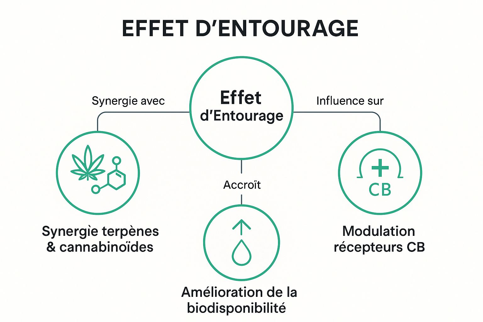 Infographic showing key data about Effet d'Entourage