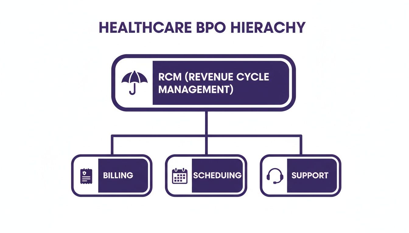 Healthcare BPO Services: Efficiency & Growth 2 A hierarchical diagram illustrating Healthcare BPO, specifically Revenue Cycle Management (RCM) and its components: Billing, Scheduling, and Support.
