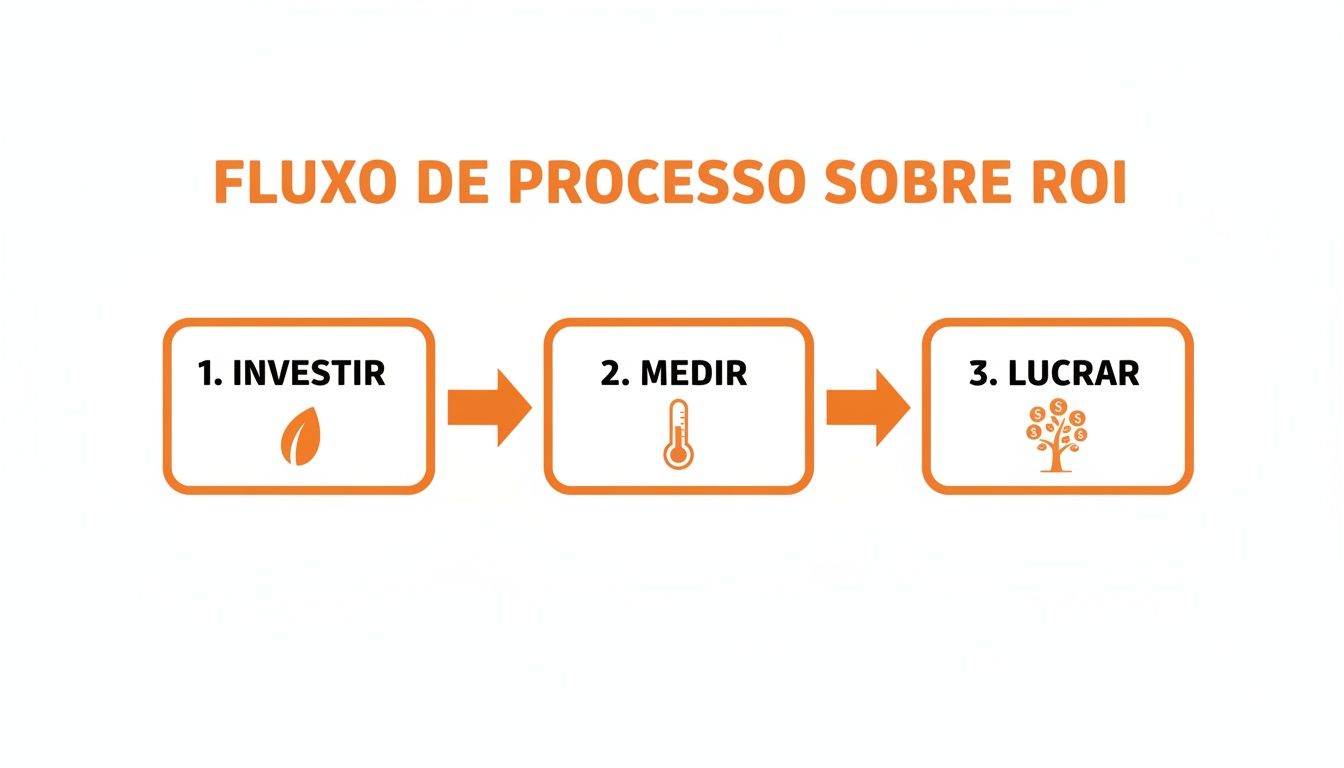 Fluxo de processo de três etapas sobre ROI: Investir (folha), Medir (termômetro) e Lucrar (árvore de dinheiro).