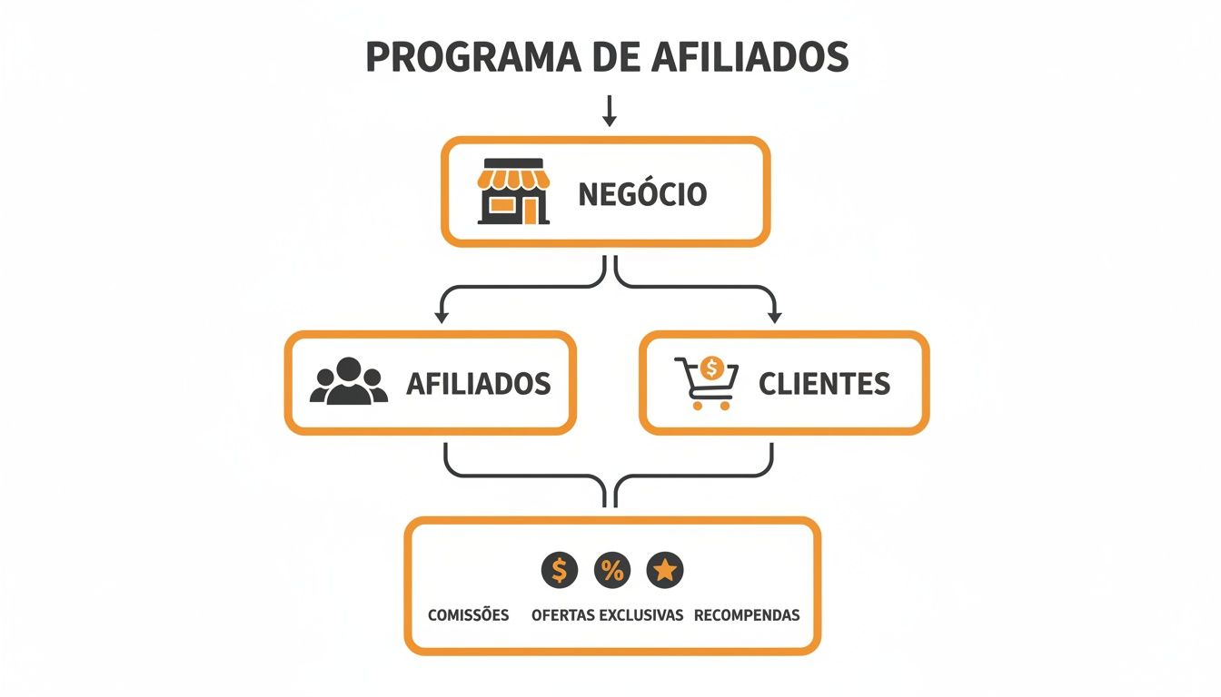 Diagrama visual do programa de afiliados, mostrando a interação entre negócio, afiliados, clientes, comissões e recompensas.