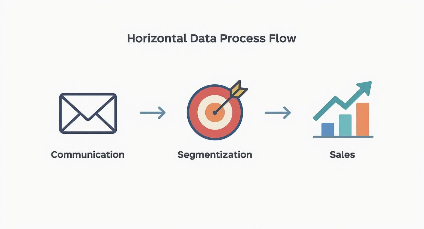 Infográfico que ilustra o processo de valor da base de dados, mostrando os passos de Comunicação, Segmentação e Vendas.