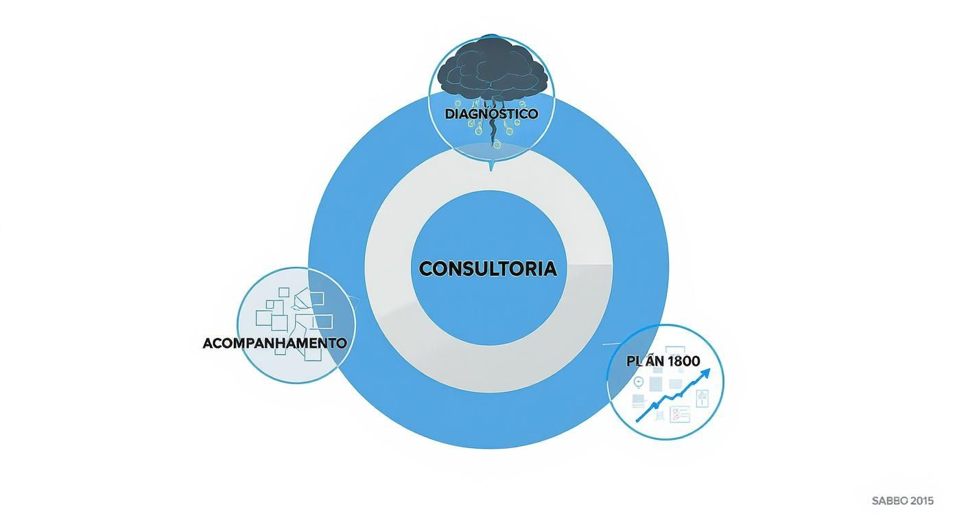 Infográfico sobre consultoria de marketing digital