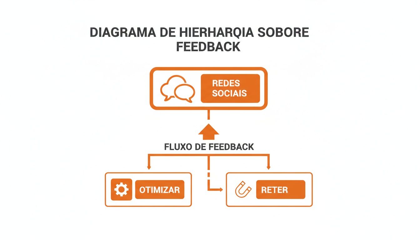 Diagrama de hierarquia sobre feedback mostrando como as redes sociais levam a otimizar e reter.