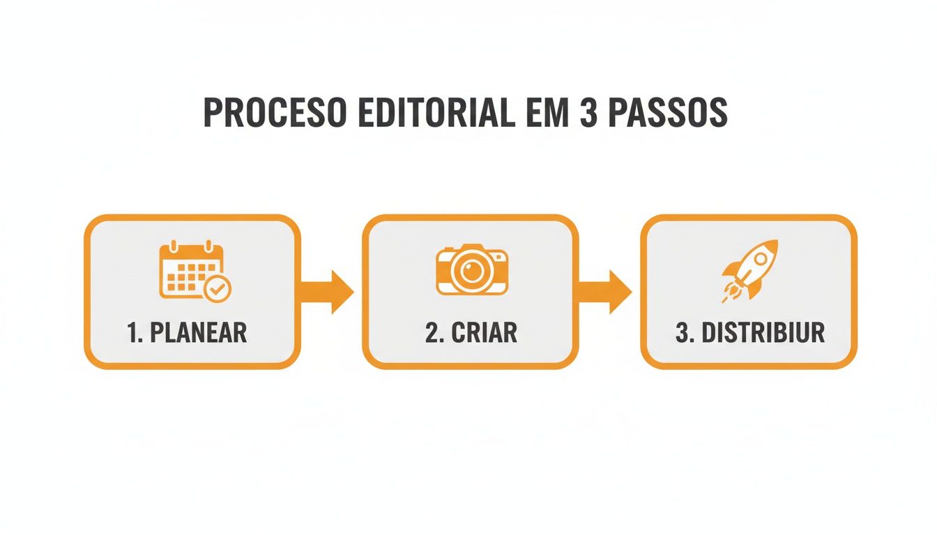 Fluxograma do processo editorial em 3 passos: planejar, criar e distribuir, com ícones ilustrativos.