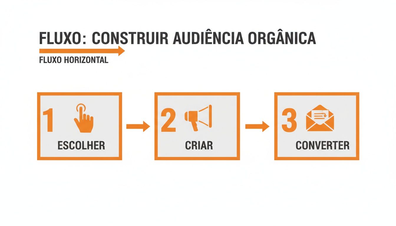 Fluxograma de 3 passos para construir audiência orgânica: Escolher, Criar e Converter.
