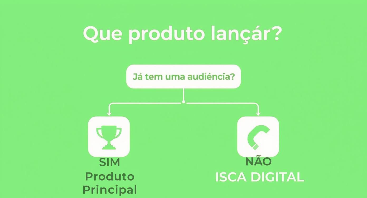 Infográfico em forma de árvore de decisão, com a pergunta inicial 'Já tem uma audiência?', levando a 'Produto Principal' se sim, ou 'Isca Digital' se não.
