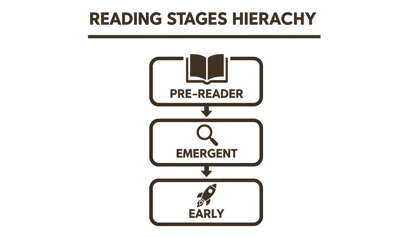 Hierarchy of reading stages with icons: Pre-Reader (book), Emergent (magnifying glass), and Early (rocket).