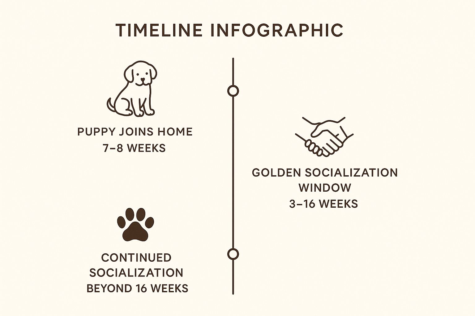 Infographic about what is puppy socialization