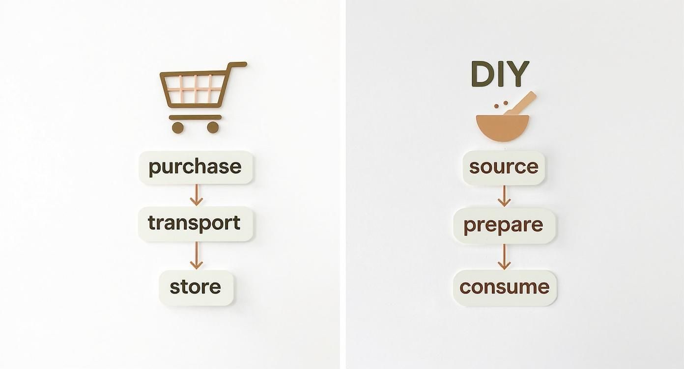 Infographic showing the process flow for commercial vs DIY raw dog food paths, with icons like a shopping cart and mixing bowl.