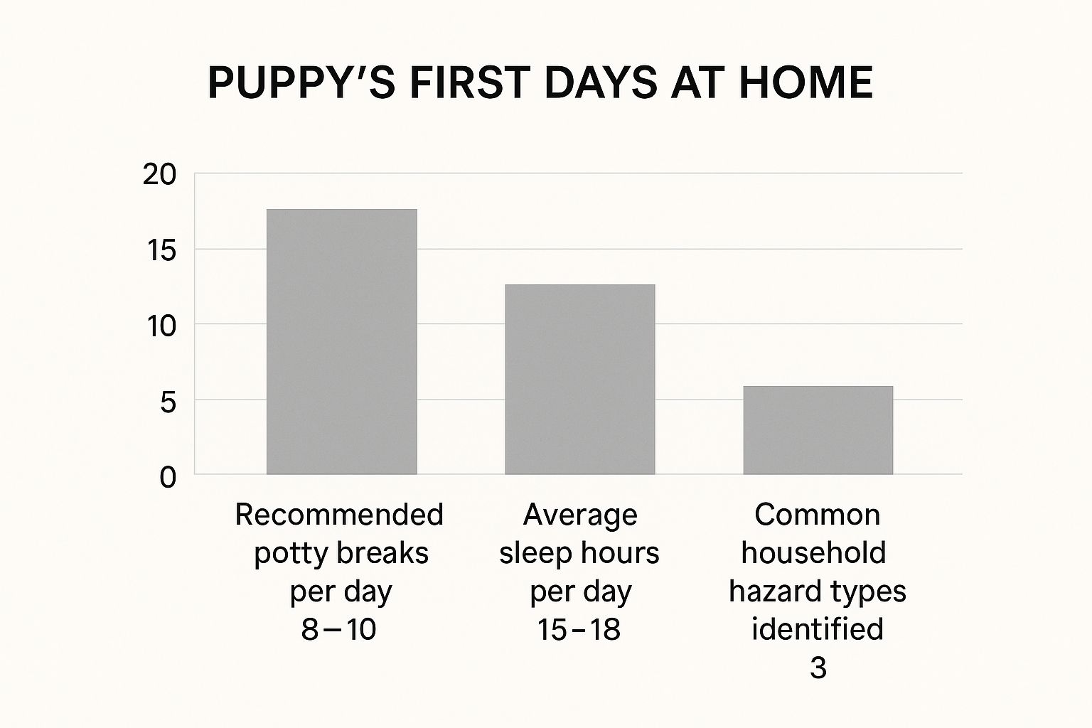 Infographic about how to care for a new puppy