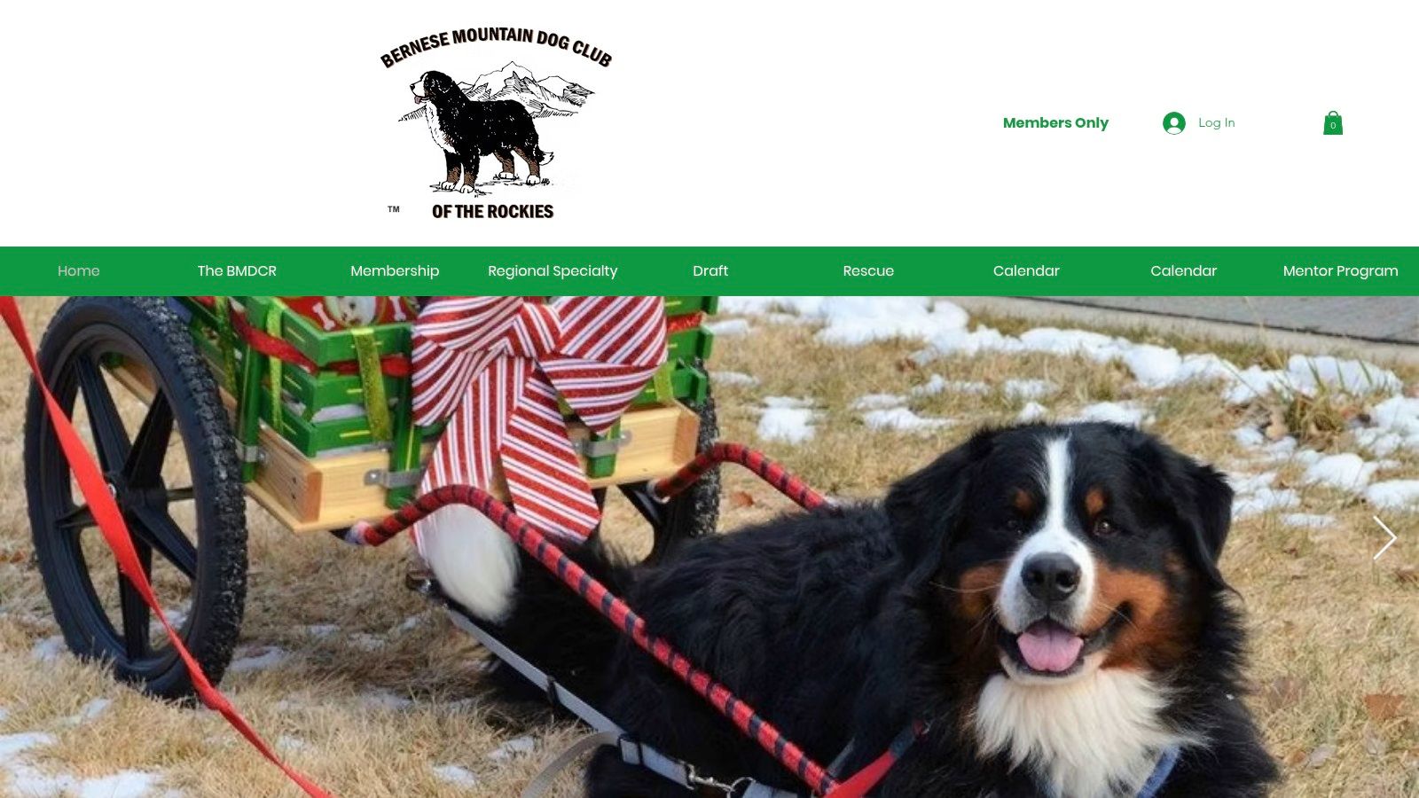 Bernese Mountain Dog Club of the Rockies (BMDCR)