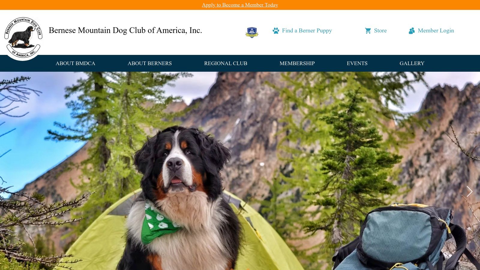 Bernese Mountain Dog Club of America (BMDCA)